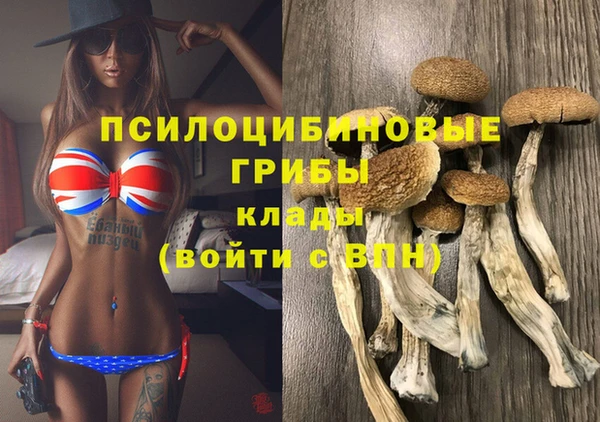 МДПВ Болхов