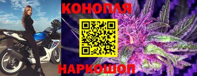 стаф Беслан