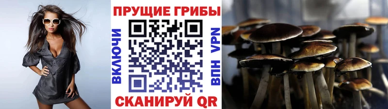 Псилоцибиновые грибы ЛСД  Кыштым 