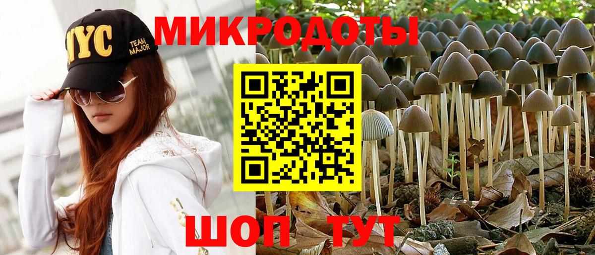 Галлюциногенные грибы прущие грибы Кыштым