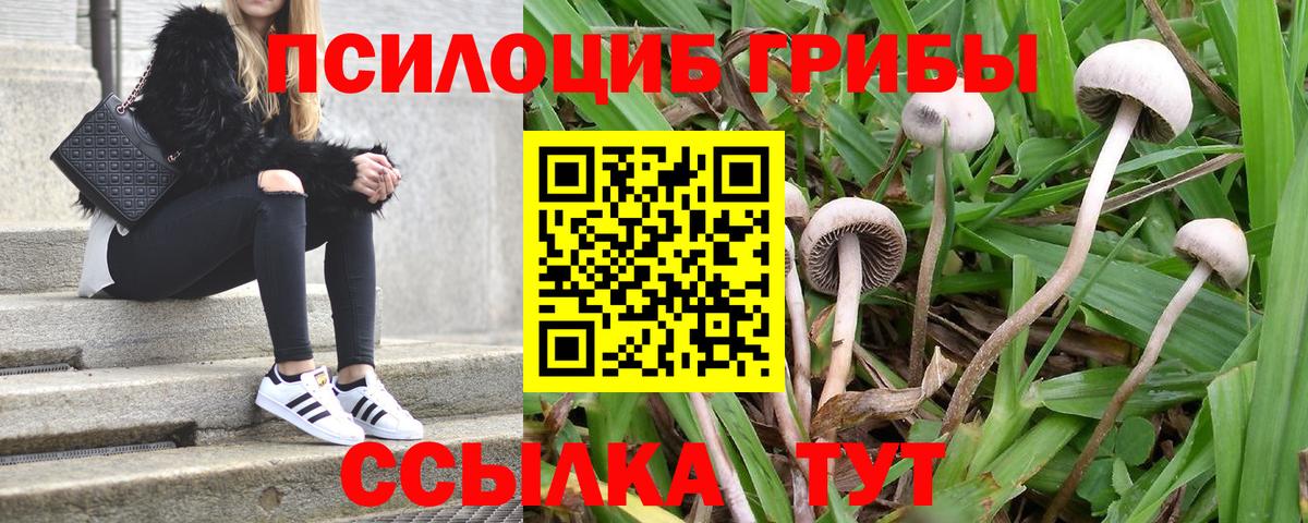 Псилоцибиновые грибы MAGIC MUSHROOMS  магазин продажи наркотиков  Псилоцибиновые грибы мицелий  Кыштым 